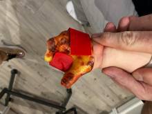 Nos prestations sur le secteur de Hyères les Palmiers 83