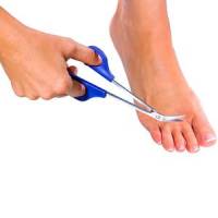 Nos prestations sur le secteur de Toulon dans le Var 83